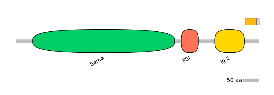 HsaINT0147373-EXC