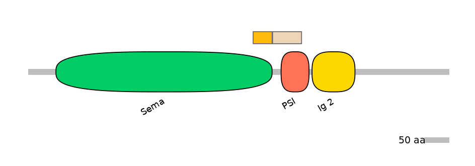 HsaINT0147397-EXC