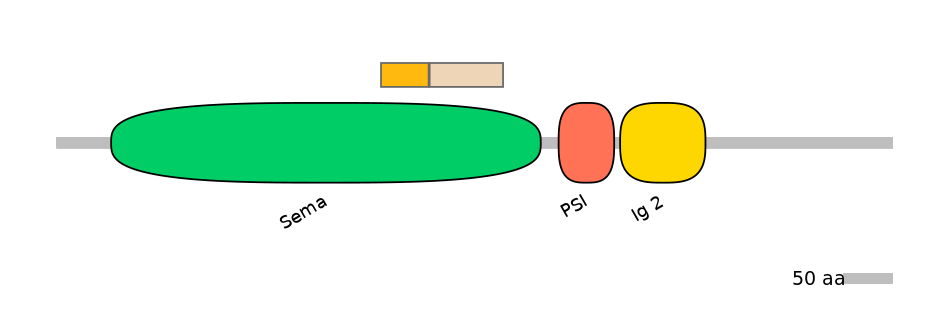 HsaINT0147405-EXC