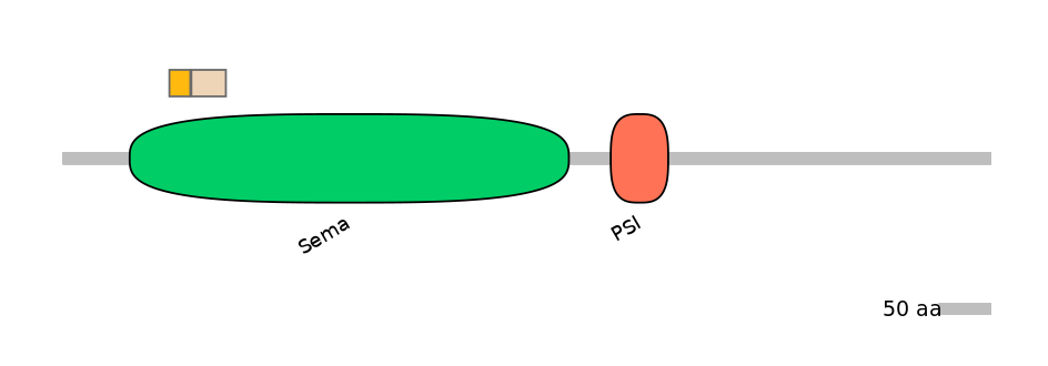 HsaINT0147477-EXC