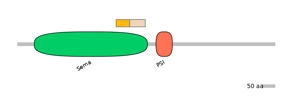 HsaINT0147490-EXC