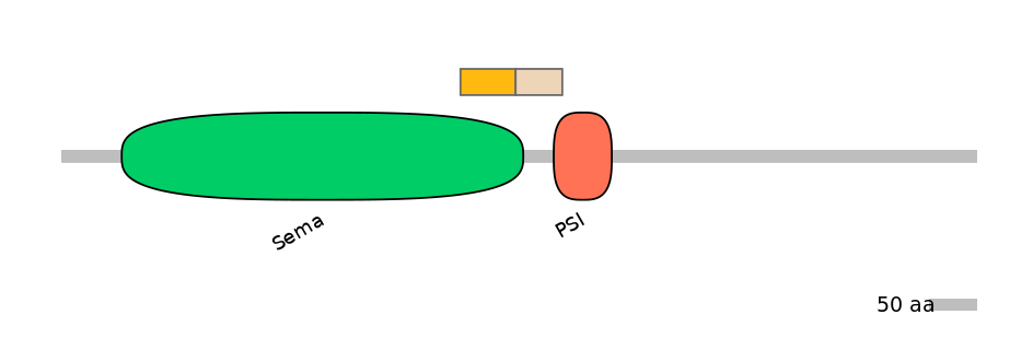HsaINT0147491-EXC