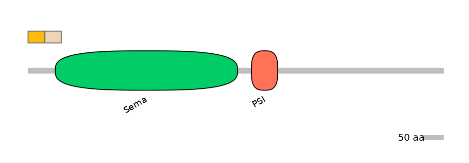 HsaINT0147497-EXC