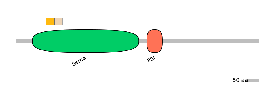 HsaINT0147501-EXC