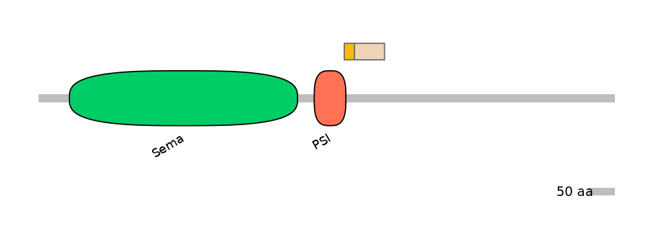 HsaINT0147507-EXC