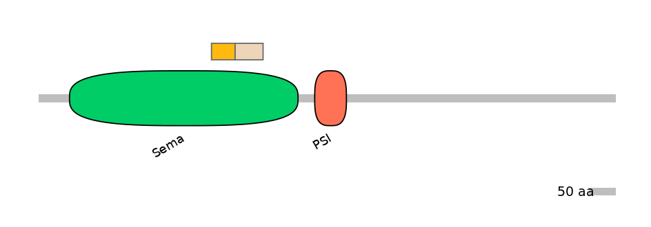 HsaINT0147511-EXC