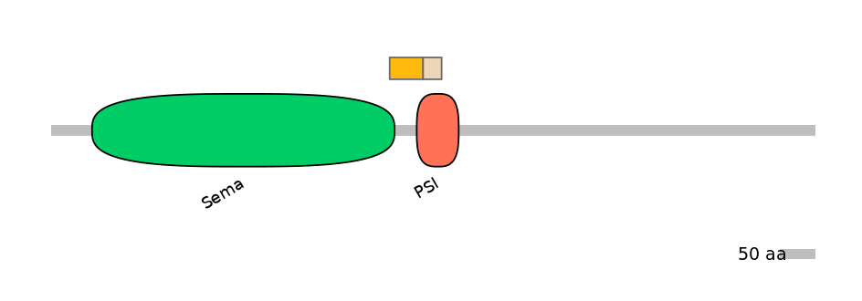 HsaINT0147513-EXC