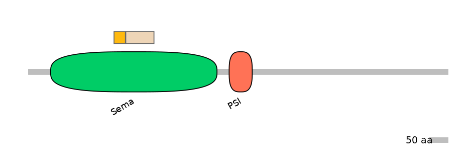 HsaINT0147522-EXC