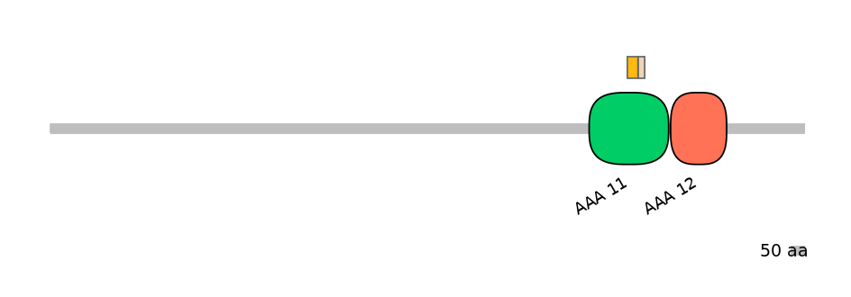 HsaINT0148406-EXC