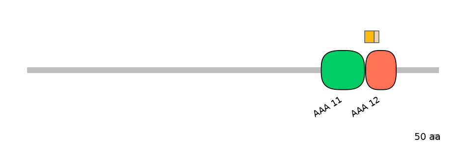 HsaINT0148411-EXC