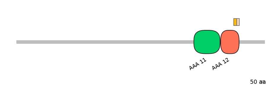HsaINT0148414-EXC