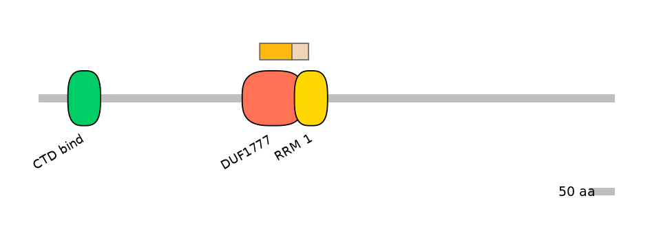 HsaINT0148702-EXC