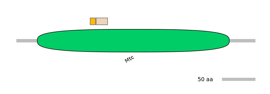HsaINT0148855-EXC
