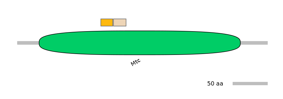 HsaINT0148856-EXC