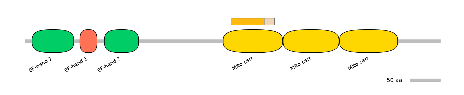 HsaINT0151625-EXC