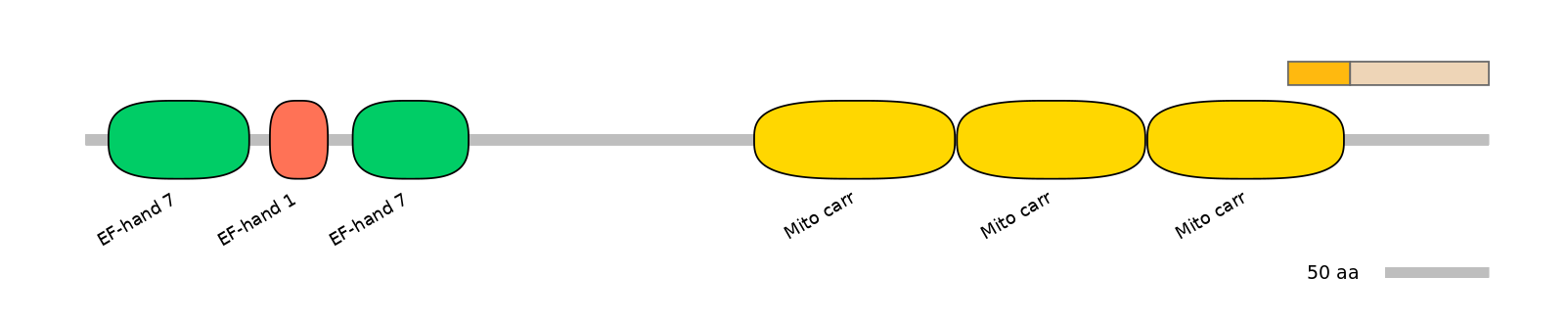 HsaINT0151631-EXC