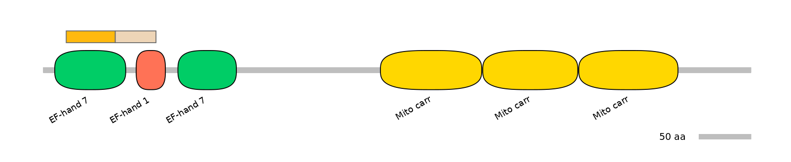 HsaINT0151633-EXC