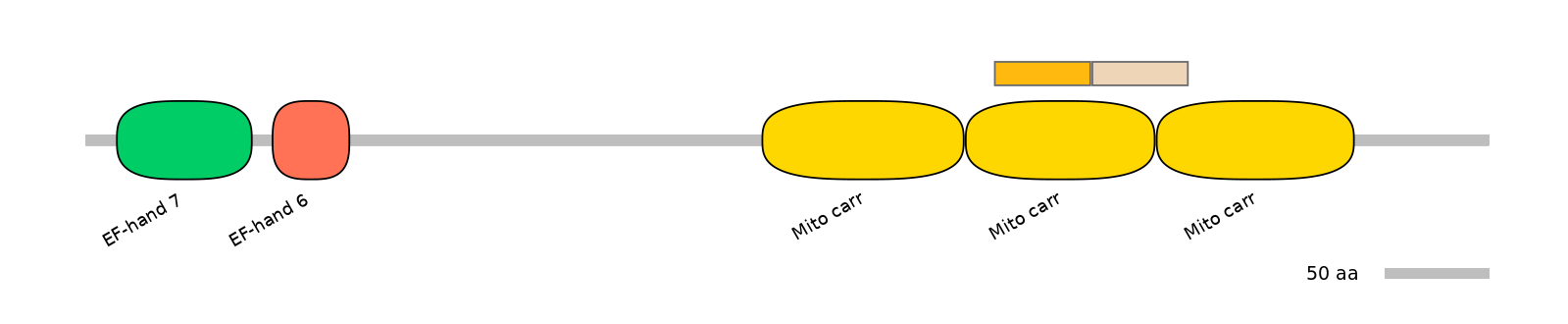 HsaINT0151646-EXC