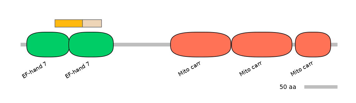 HsaINT0151736-EXC