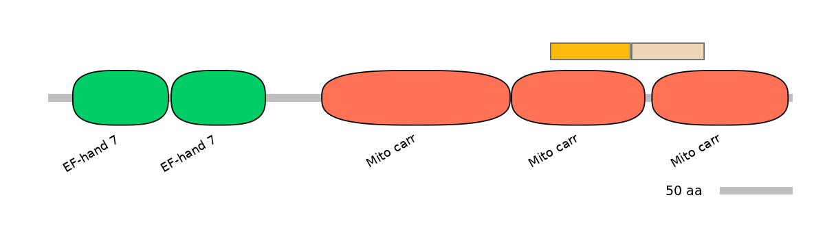 HsaINT0151752-EXC
