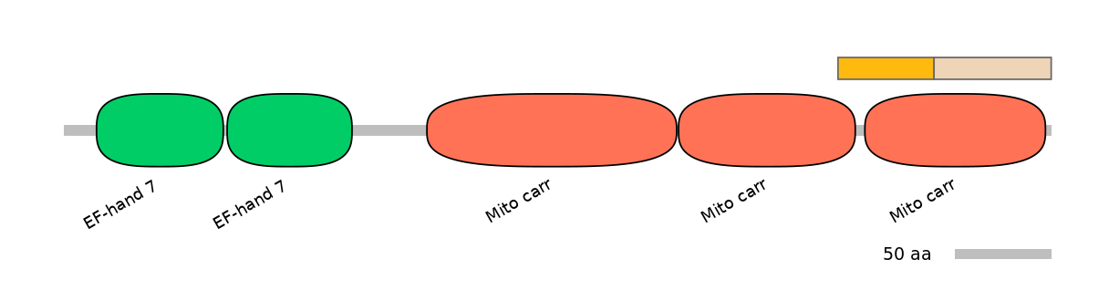 HsaINT0151753-EXC