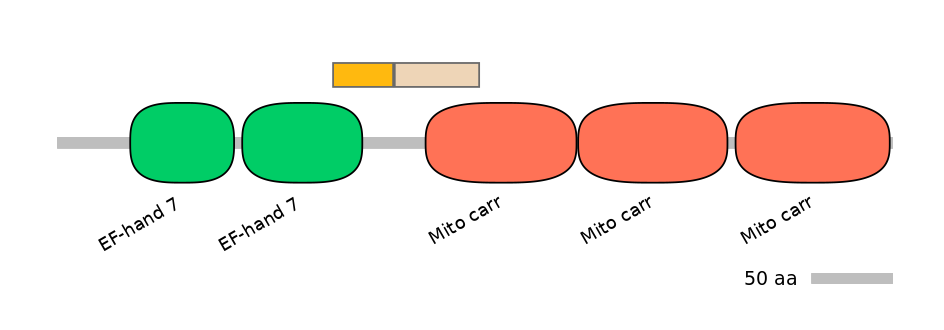 HsaINT0151759-EXC