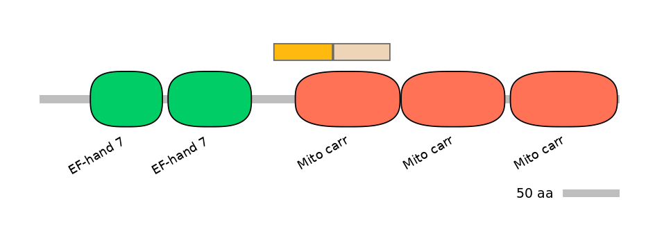 HsaINT0151760-EXC