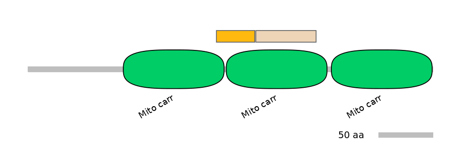 HsaINT0151875-EXC
