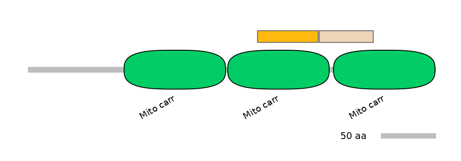 HsaINT0151876-EXC