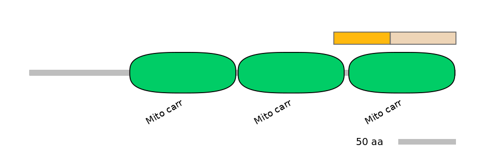 HsaINT0151877-EXC