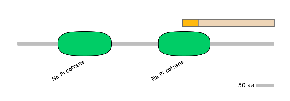 HsaINT0152511-EXC