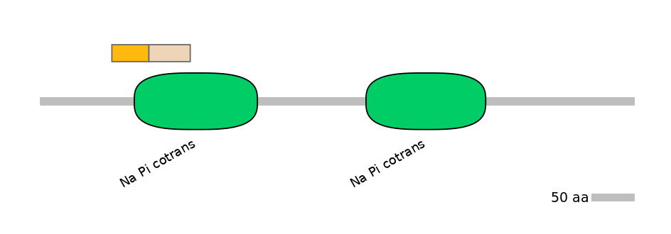 HsaINT0152513-EXC