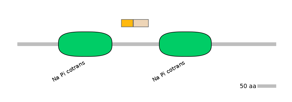 HsaINT0152517-EXC