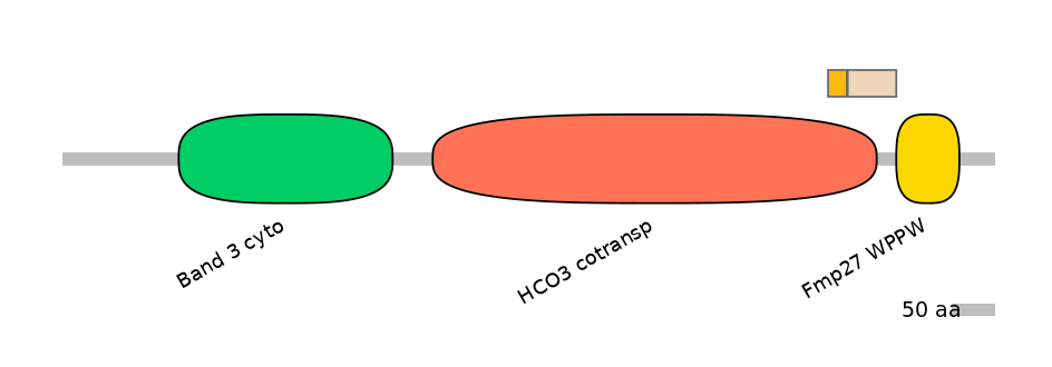 HsaINT0153430-EXC