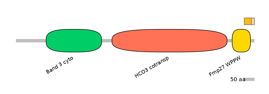 HsaINT0153433-EXC
