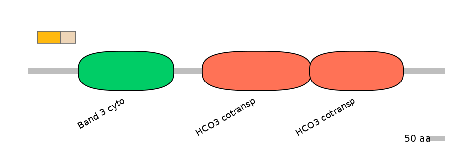 HsaINT0153453-EXC