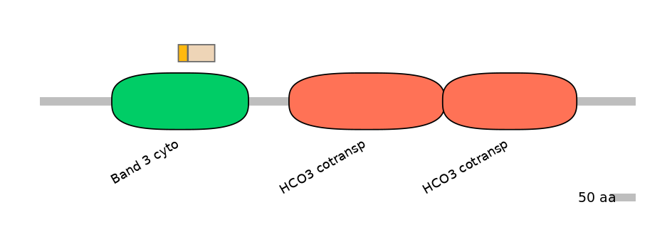 HsaINT0153464-EXC