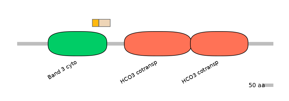 HsaINT0153466-EXC