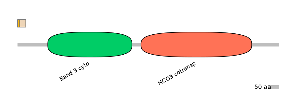 HsaINT0153474-EXC
