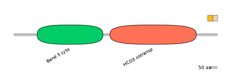 HsaINT0153490-EXC
