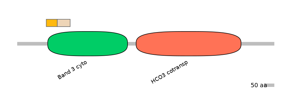 HsaINT0153493-EXC