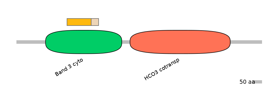 HsaINT0153495-EXC