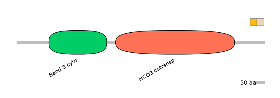 HsaINT0153498-EXC