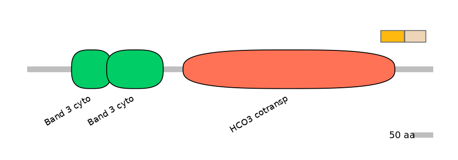 HsaINT0153530-EXC