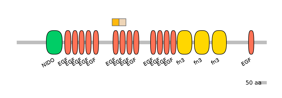 HsaINT0155886-EXC