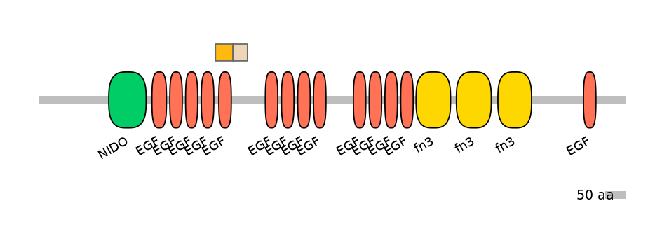 HsaINT0155911-EXC