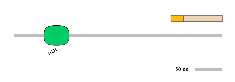 HsaINT0156589-EXC