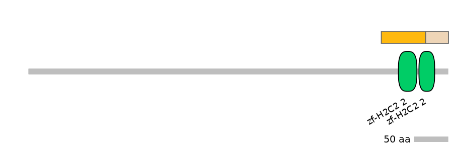 HsaINT0157100-EXC