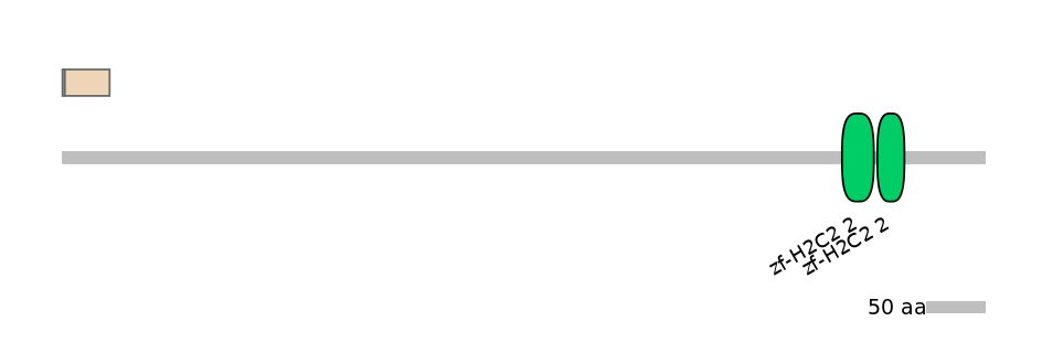 HsaINT0157105-EXC