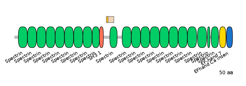 HsaINT0158374-EXC